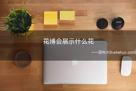 花博会展示什么花(各种鲜花美景供你观赏,让你目不暇接)