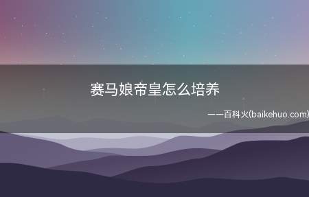 赛马娘帝皇怎么培养(赛马娘皇帝最佳培养:应该是其他属性均衡,速度稍优)