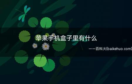苹果手机盒子里有什么