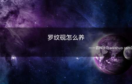 罗纹砚怎么养(砚台与笔、墨、纸合称文房四宝)