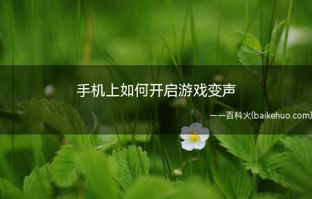手机上如何开启游戏变声(OPPO手机设置游戏变声)