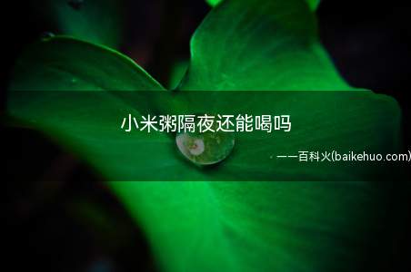 小米粥隔夜还能喝吗