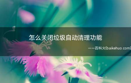 怎么关闭垃圾自动清理功能