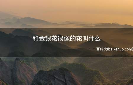 和金银花很像的花叫什么(和金银花很像的花叫做断肠草)
