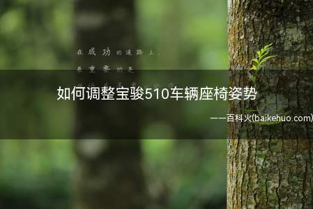 如何调整宝骏510车辆座椅姿势(宝骏510车辆座椅姿势)