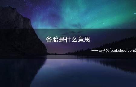 备胎是什么意思