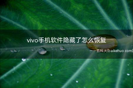 vivo手机软件隐藏了怎么恢复(vivo手机隐藏后怎么恢复出来)