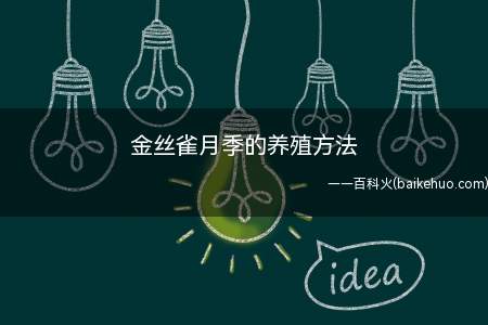 金丝雀月季的养殖方法(金丝雀月季养殖的时候要放在温暖的环境下,温度最好)