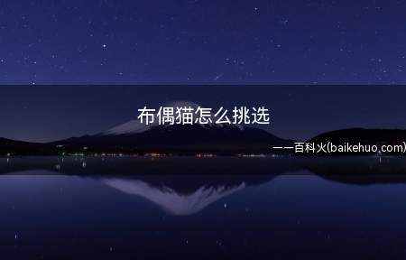 布偶猫怎么挑选(挑选布偶猫时需观察它的走路形态)
