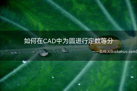 如何在CAD中为圆进行定数等分(如何使用CAD编辑器专业版完成定数等分)