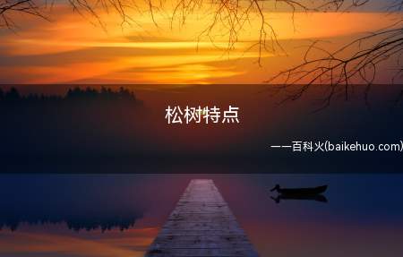 松树特点（松树的特点是笔直,品德高尚的人）