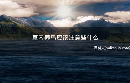 室内养鸟应该注意些什么(室内养鸟需要注意定期要打扫清洁)