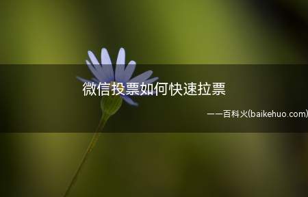 微信投票如何快速拉票(现在我来说几种微信拉票的方法)