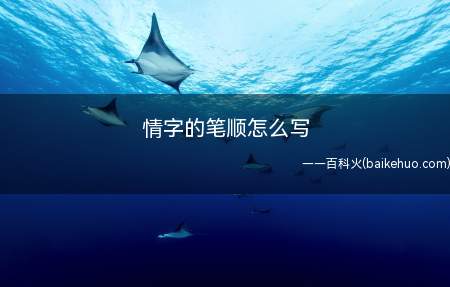 情字的笔顺怎么写(情字的笔顺怎么写 字体笔顺经验分享)
