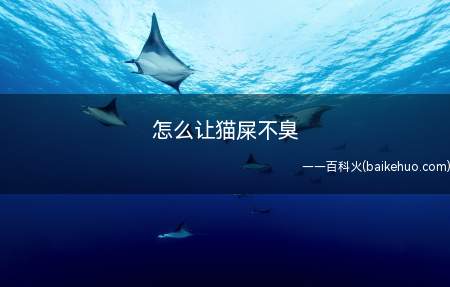猫屎很臭,可能与饮食有关,经常吃肉类等不易消化食物的