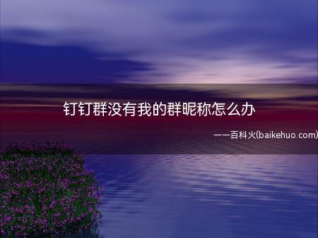 钉钉群没有我的群昵称怎么办(钉钉群设置我的群昵称需要分五个步骤)
