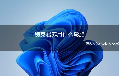 别克君威用什么轮胎(别克君威轮胎采用马牌轮胎,载重系数96,速度级别W)