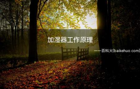 加湿器工作原理（加湿器工作原理是什么）