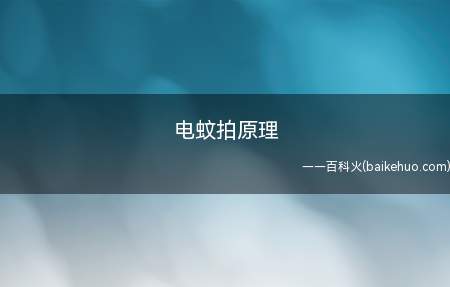电蚊拍原理是什么不知道的小伙伴来看看小编今天的分享吧!