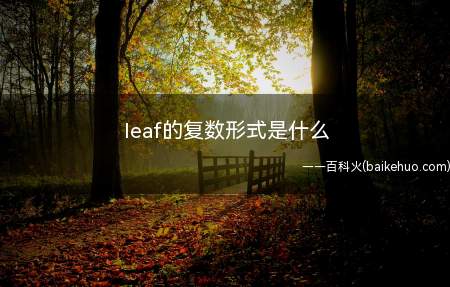 leaf的复数形式是什么(leaf的复数形式有哪些)
