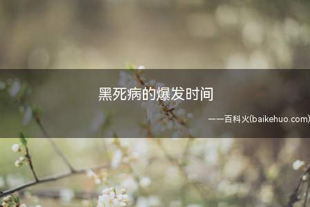 黑死病的爆发时间(黑死病的爆发时间是1348~1451年)