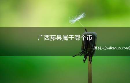 广西藤县属于哪个市(2019年藤县旅游攻略)