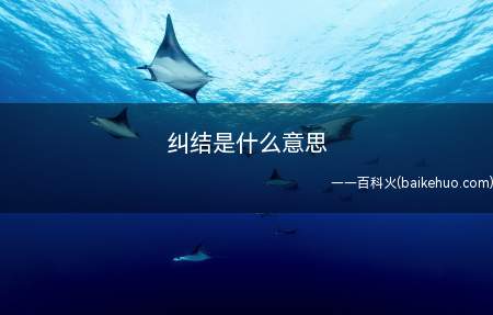 纠结是什么意思