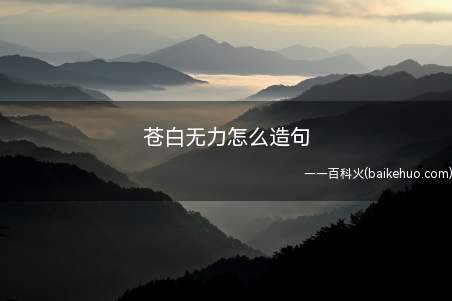 苍白无力怎么造句