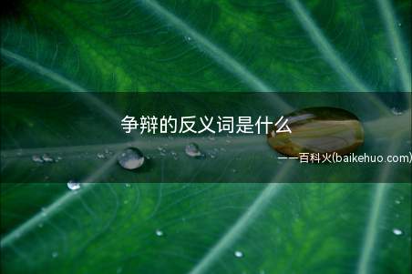 争辩的反义词是什么