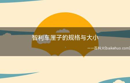 智利车厘子的规格与大小(果粒直径为26毫米28毫米,等级则是一个J)
