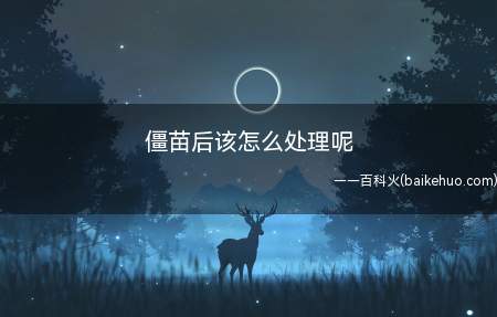 僵苗后该怎么处理呢(僵苗后该怎么处理)