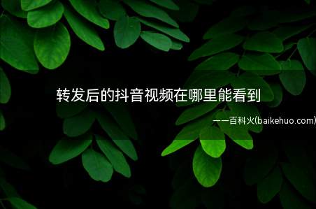 转发后的抖音视频在哪里能看到(转发后的抖音视频在哪里)