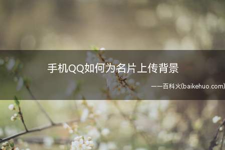手机QQ如何为名片上传背景(手机QQ名片上传背景图操作方法)