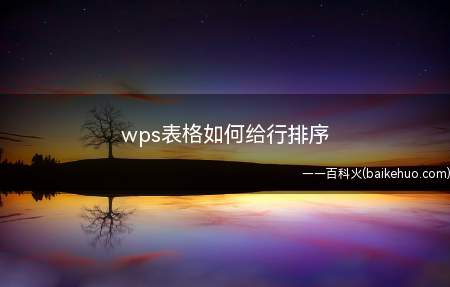 wps表格如何给行排序(WPS如何给行排序打开工作表,选中要排序的数据行)