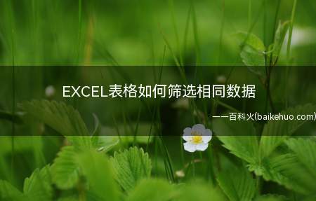 EXCEL表格如何筛选相同数据(EXCEL表格的简单步骤)