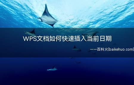 WPS文档如何快速插入当前日期