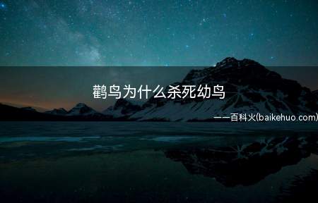 鹳鸟为什么杀死幼鸟(鹳鸟并不会杀死自己的幼鸟)