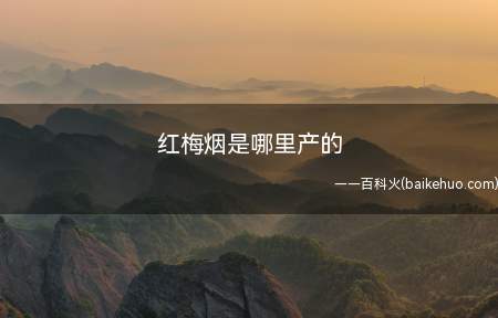 红梅烟是哪里产的