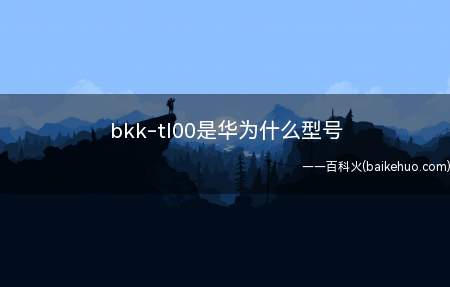 bkk-tl00是华为什么型号（荣耀畅玩8C演示机型:emui8）
