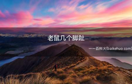 老鼠的食性很杂,爱吃的东西很多,还能从15米高处跳下而安然无