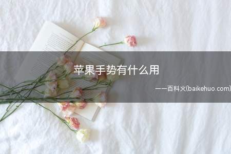 苹果手势有什么用(iPhone12Pro)