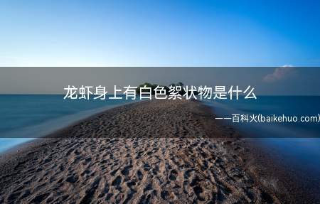龙虾身上有白色絮状物是什么(龙虾身上有白色絮状物有可能是真菌引起的疾病)