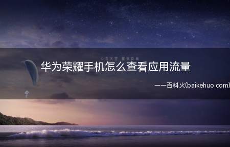 华为荣耀手机怎么查看应用流量(怎么通过手机查看应用流量)