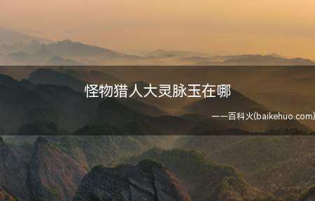 怪物猎人大灵脉玉在哪(DNF:历战古龙的地方会有大灵脉玉)
