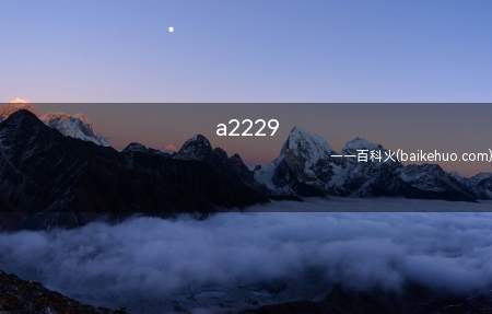 a2229（iPad Pro与2018款屏幕尺寸一致）