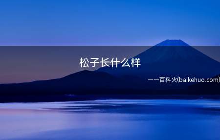 松子生长于松果里面,当松果完全成熟之后,松子就会脱落出来