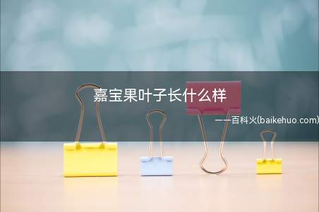 嘉宝果叶子长什么样(嘉宝果叶子是对生的,叶柄较短,有茸毛)