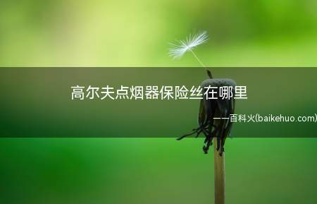 高尔夫点烟器保险丝在哪里(高尔夫点烟器保险丝位于方向盘的左下方的盖板处)