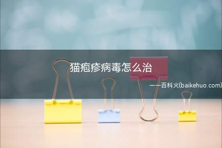 猫疱疹病毒怎么治(猫疱疹病毒一般采用对症治疗和对因治疗)