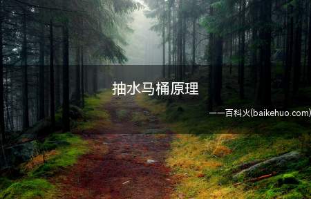 抽水马桶原理(抽水马桶原理是什么我们一起来看看吧!)